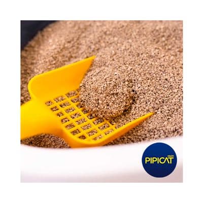 Pipicat Classic