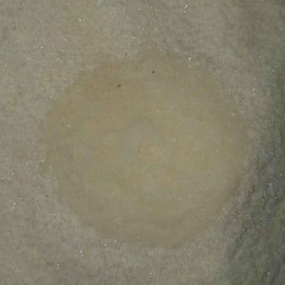 MyHug Biodegradável Finos